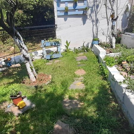 Το Σπίτι Της Ελένης Apartment Vlachia ภายนอก รูปภาพ