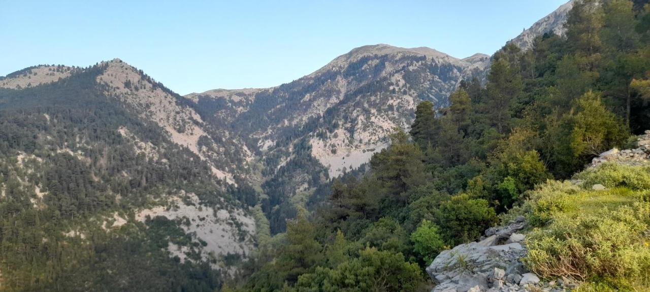 Το Σπίτι Της Ελένης Apartment Vlachia ภายนอก รูปภาพ
