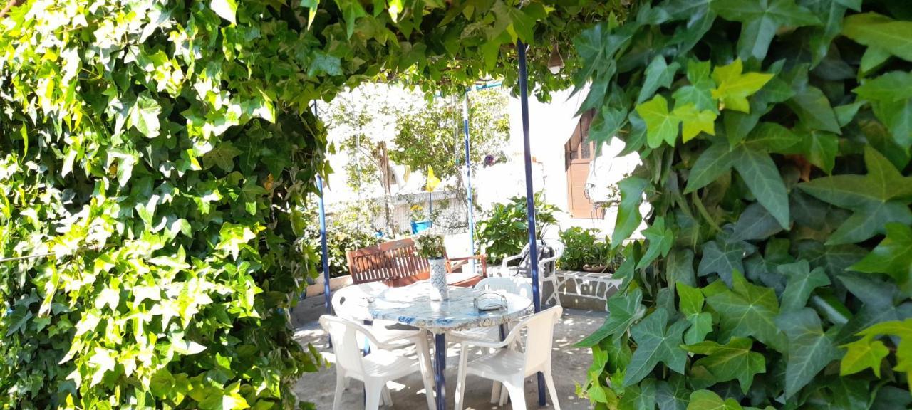Το Σπίτι Της Ελένης Apartment Vlachia ภายนอก รูปภาพ