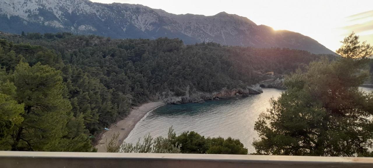 Το Σπίτι Της Ελένης Apartment Vlachia ภายนอก รูปภาพ
