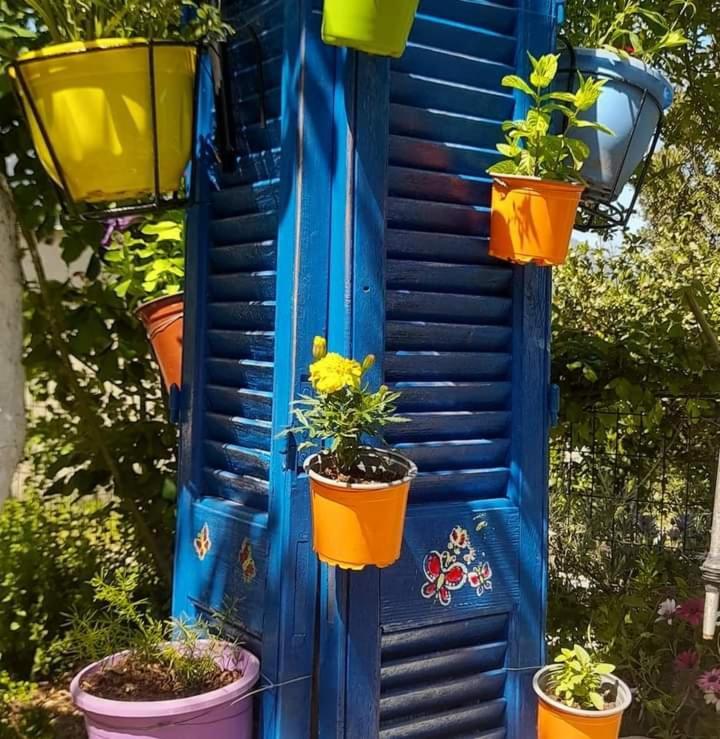 Το Σπίτι Της Ελένης Apartment Vlachia ภายนอก รูปภาพ