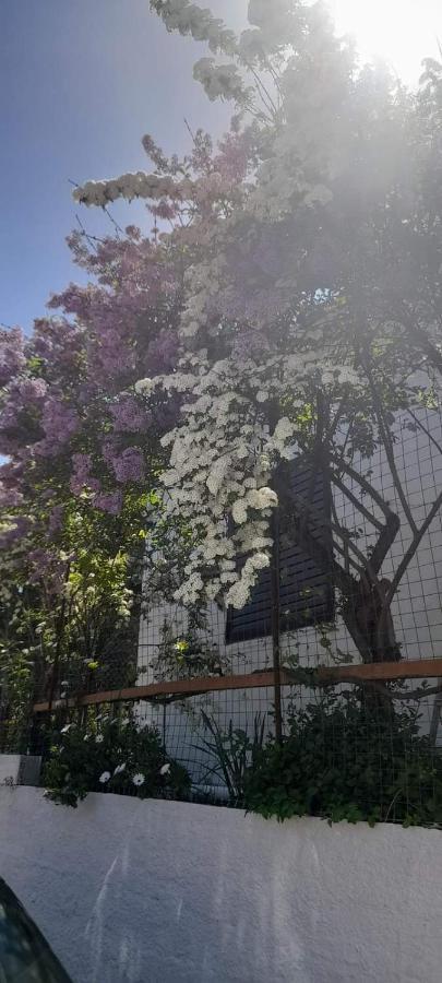 Το Σπίτι Της Ελένης Apartment Vlachia ภายนอก รูปภาพ
