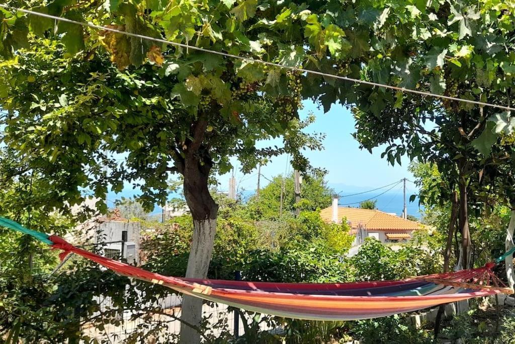 Το Σπίτι Της Ελένης Apartment Vlachia ภายนอก รูปภาพ