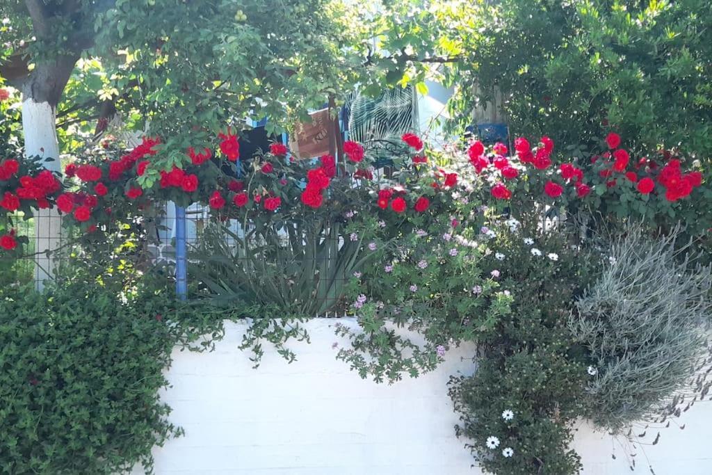 Το Σπίτι Της Ελένης Apartment Vlachia ภายนอก รูปภาพ