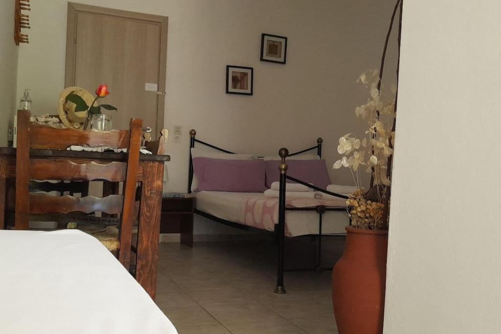 Το Σπίτι Της Ελένης Apartment Vlachia ภายนอก รูปภาพ