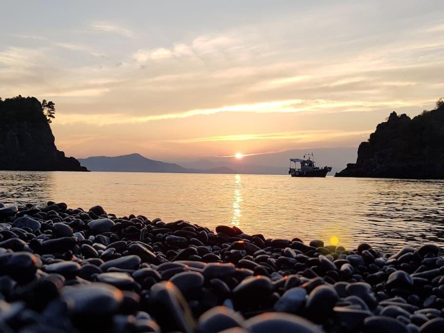 Το Σπίτι Της Ελένης Apartment Vlachia ภายนอก รูปภาพ