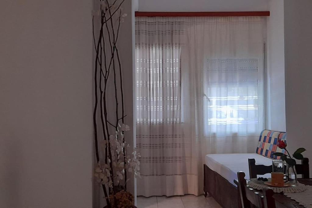 Το Σπίτι Της Ελένης Apartment Vlachia ภายนอก รูปภาพ
