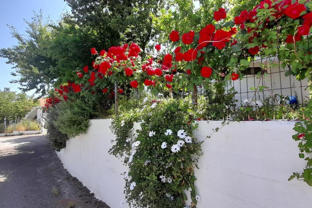 Το Σπίτι Της Ελένης Apartment Vlachia ภายนอก รูปภาพ