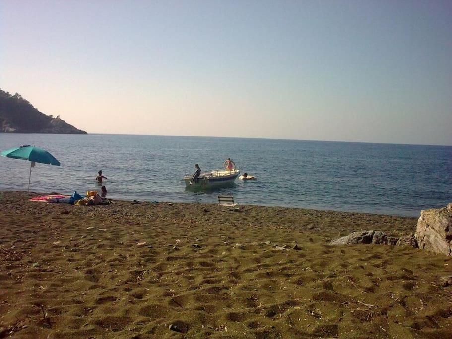 Το Σπίτι Της Ελένης Apartment Vlachia ภายนอก รูปภาพ