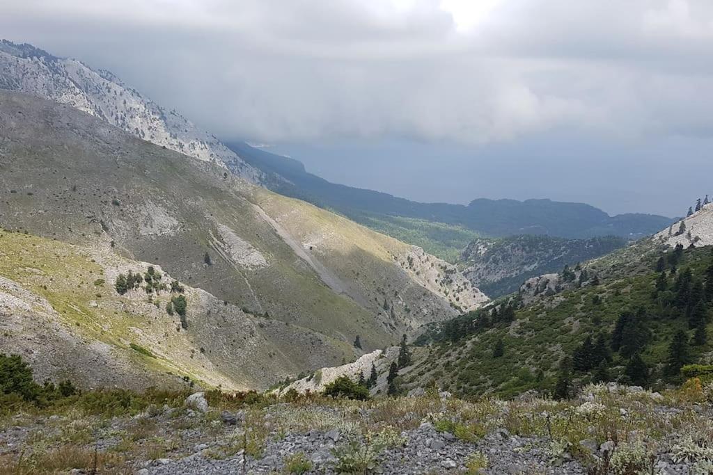 Το Σπίτι Της Ελένης Apartment Vlachia ภายนอก รูปภาพ