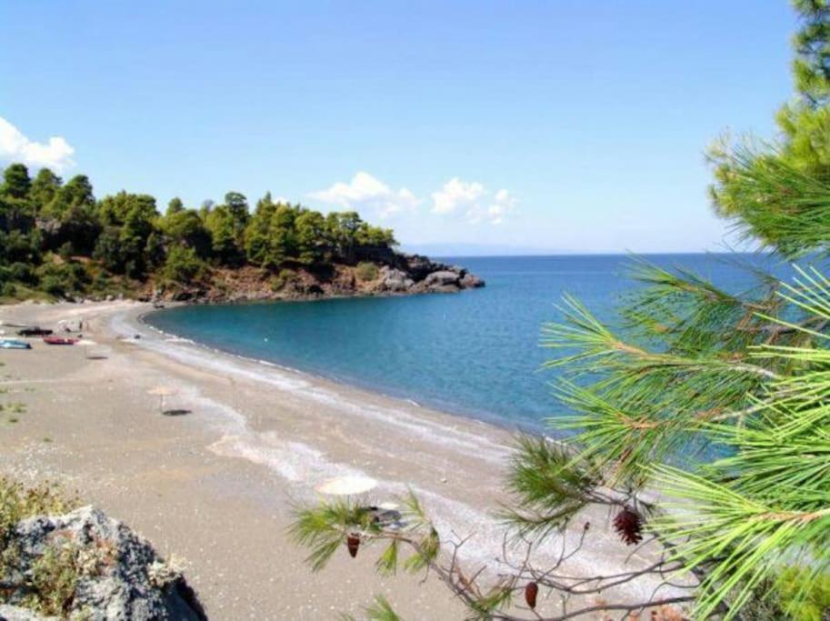 Το Σπίτι Της Ελένης Apartment Vlachia ภายนอก รูปภาพ
