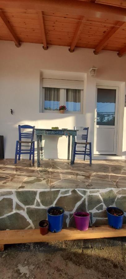 Το Σπίτι Της Ελένης Apartment Vlachia ภายนอก รูปภาพ