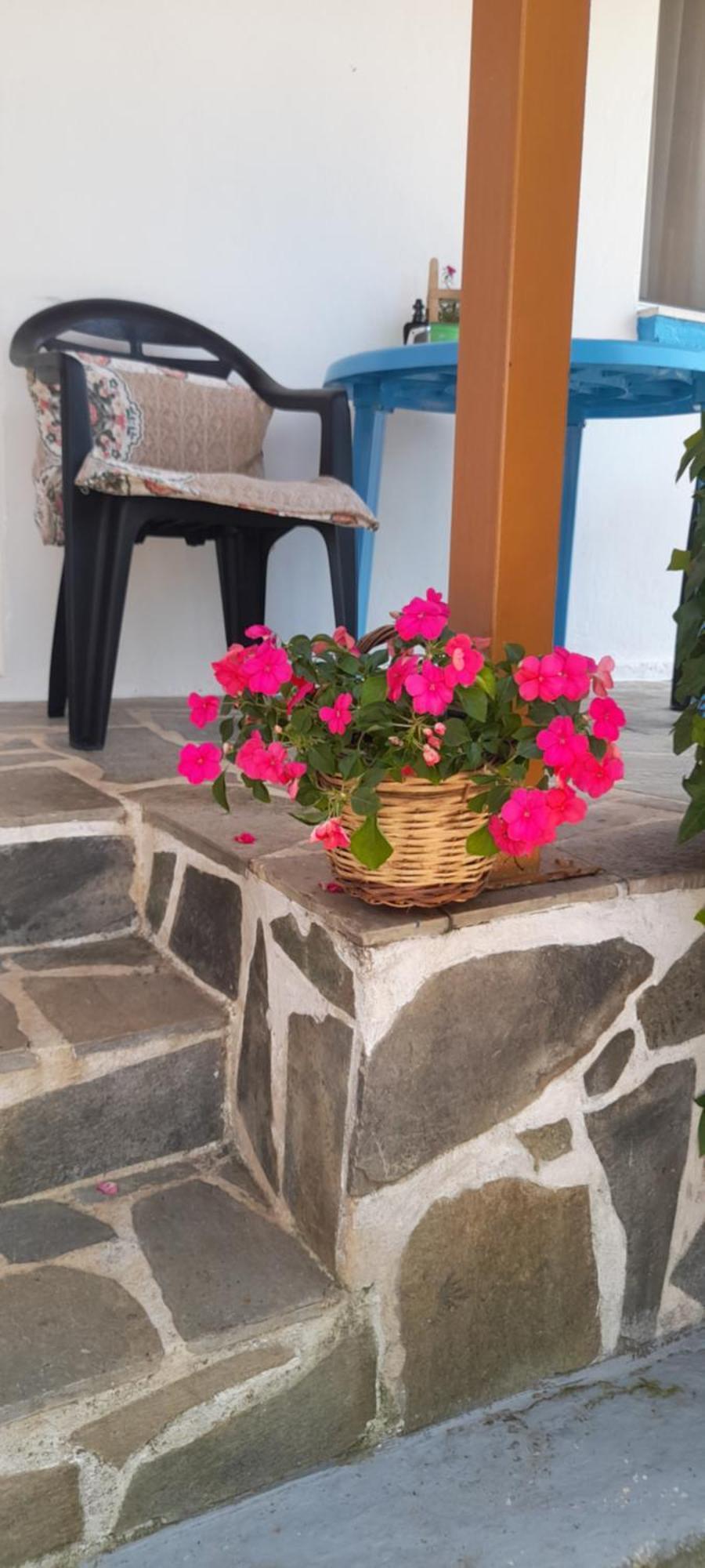 Το Σπίτι Της Ελένης Apartment Vlachia ภายนอก รูปภาพ