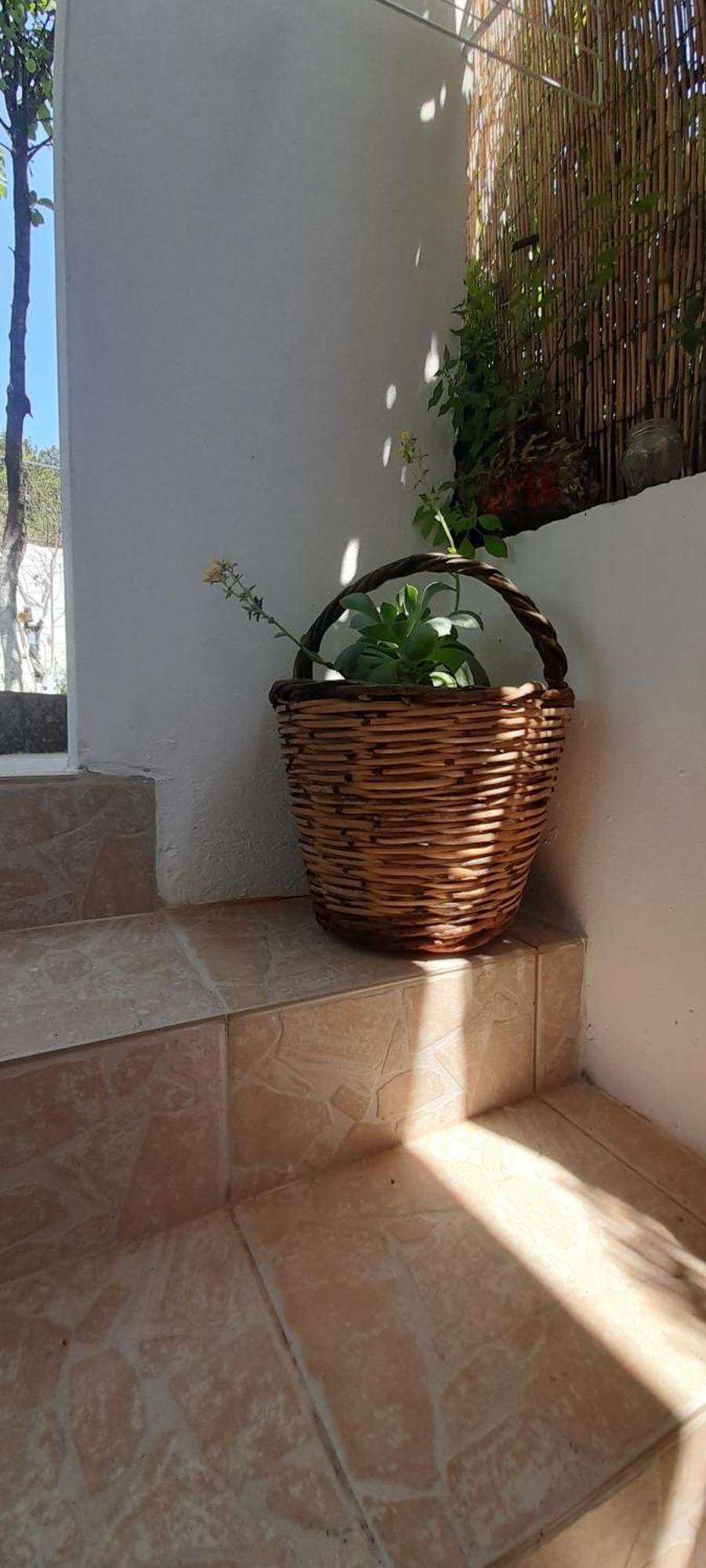 Το Σπίτι Της Ελένης Apartment Vlachia ภายนอก รูปภาพ