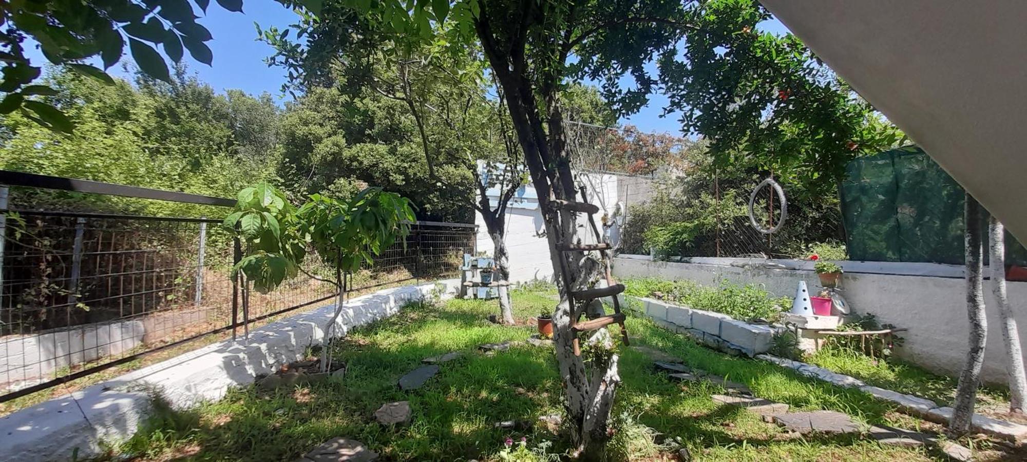 Το Σπίτι Της Ελένης Apartment Vlachia ภายนอก รูปภาพ