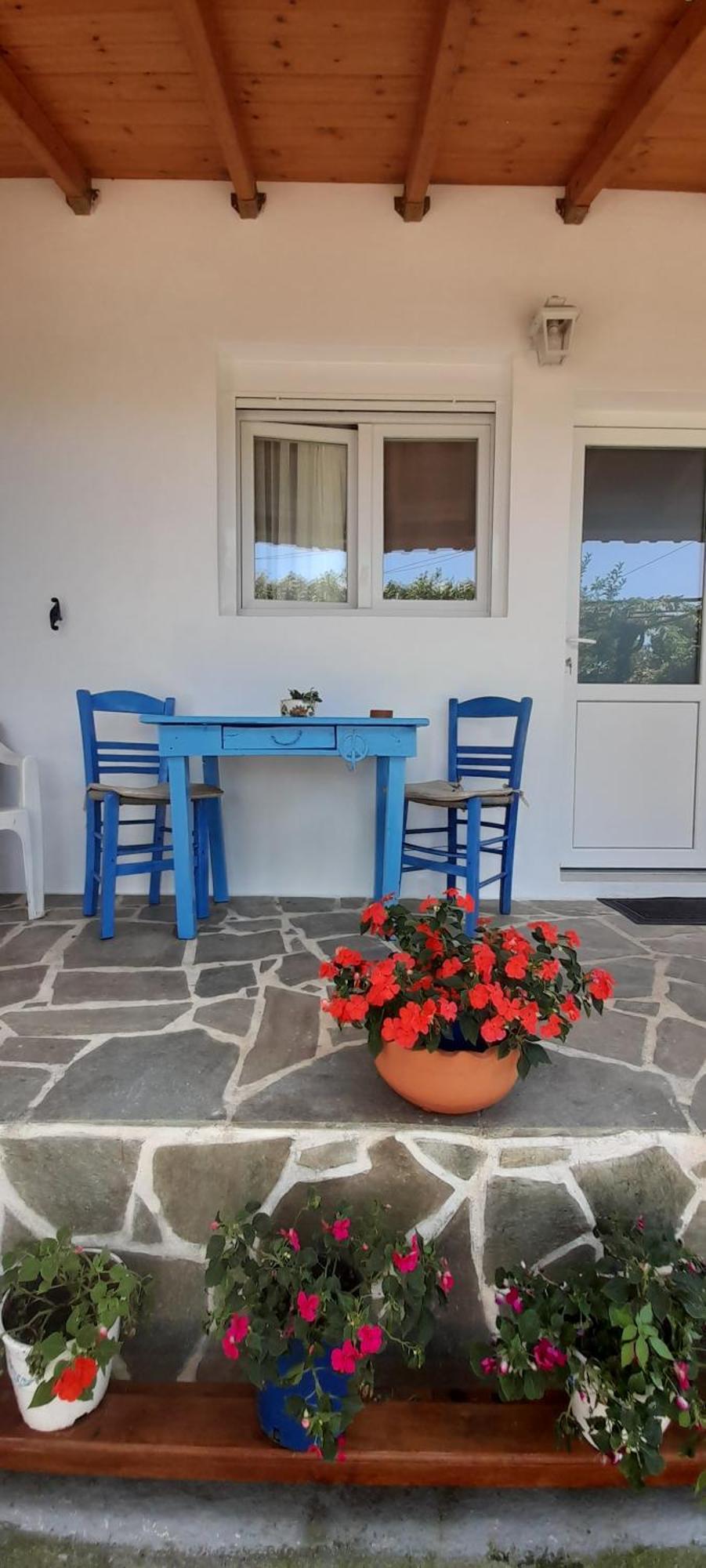Το Σπίτι Της Ελένης Apartment Vlachia ภายนอก รูปภาพ